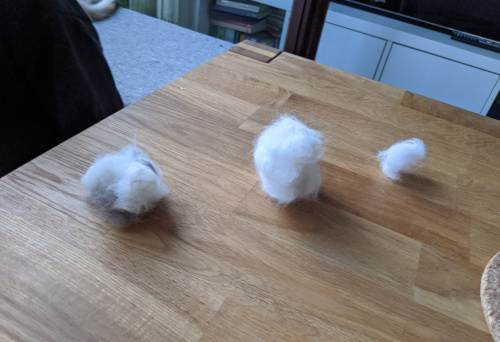 Katzenhaare -Haare von Drei Weissen Katzen.jpg